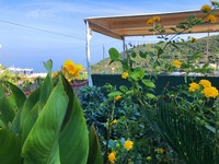 IMG_8903.jpg