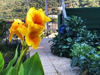 IMG_8904.jpg